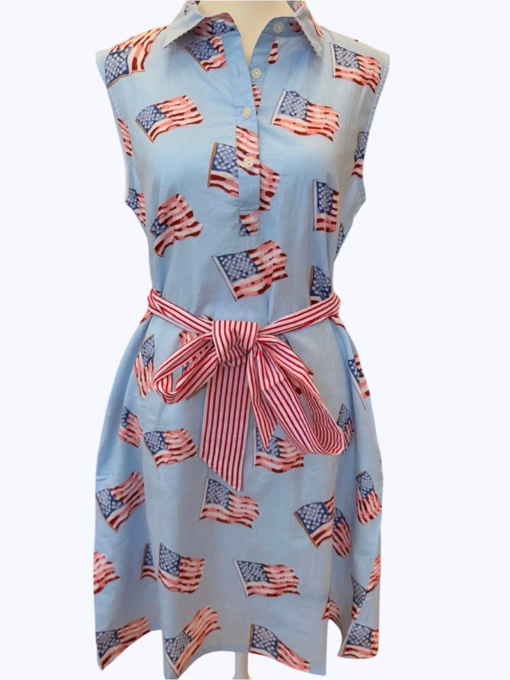 🇺🇸🇺🇸Americana Summer!  NWT American Flag Cotton Shifts in Blue S M L Tuckernuck